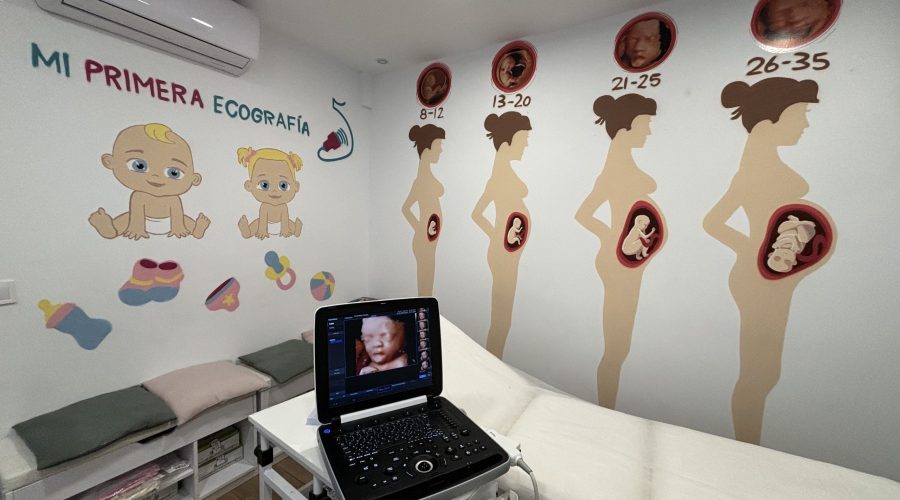 como capitalizar el paro